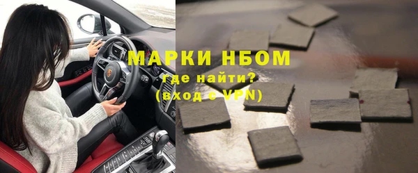 индика Михайловск