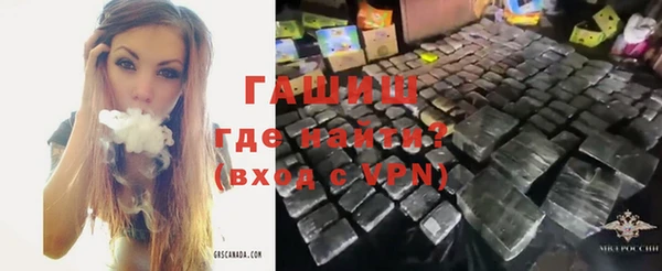 индика Михайловск