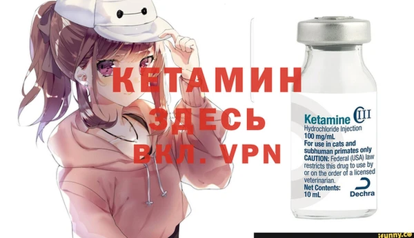индика Михайловск