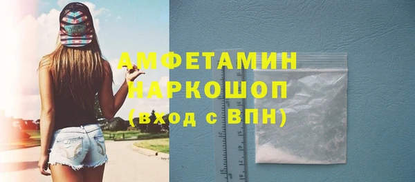 индика Михайловск