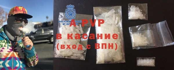 индика Михайловск