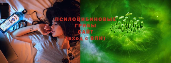 винт Михайловка