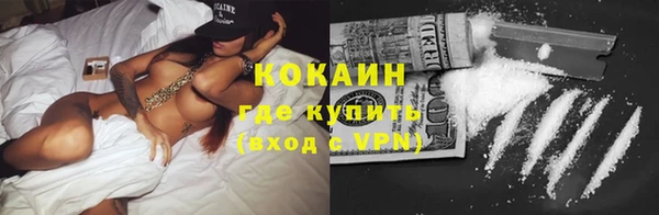 индика Михайловск