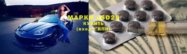 индика Михайловск