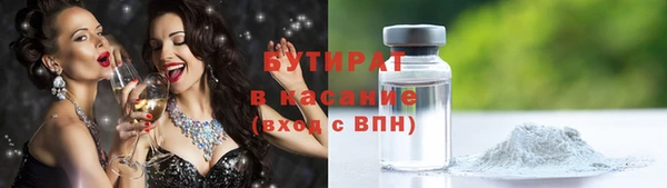 индика Михайловск