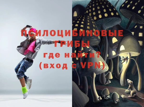 индика Михайловск