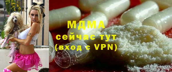 индика Михайловск
