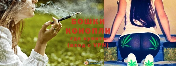индика Михайловск