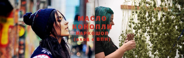 индика Михайловск