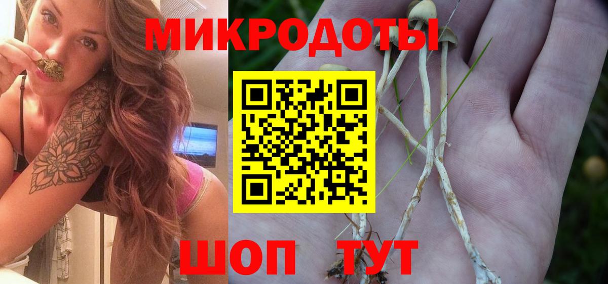 Псилоцибиновые грибы Psilocybine cubensis  Галлюциногенные грибы Psilocybine cubensis  Советск  Вход с VPN 